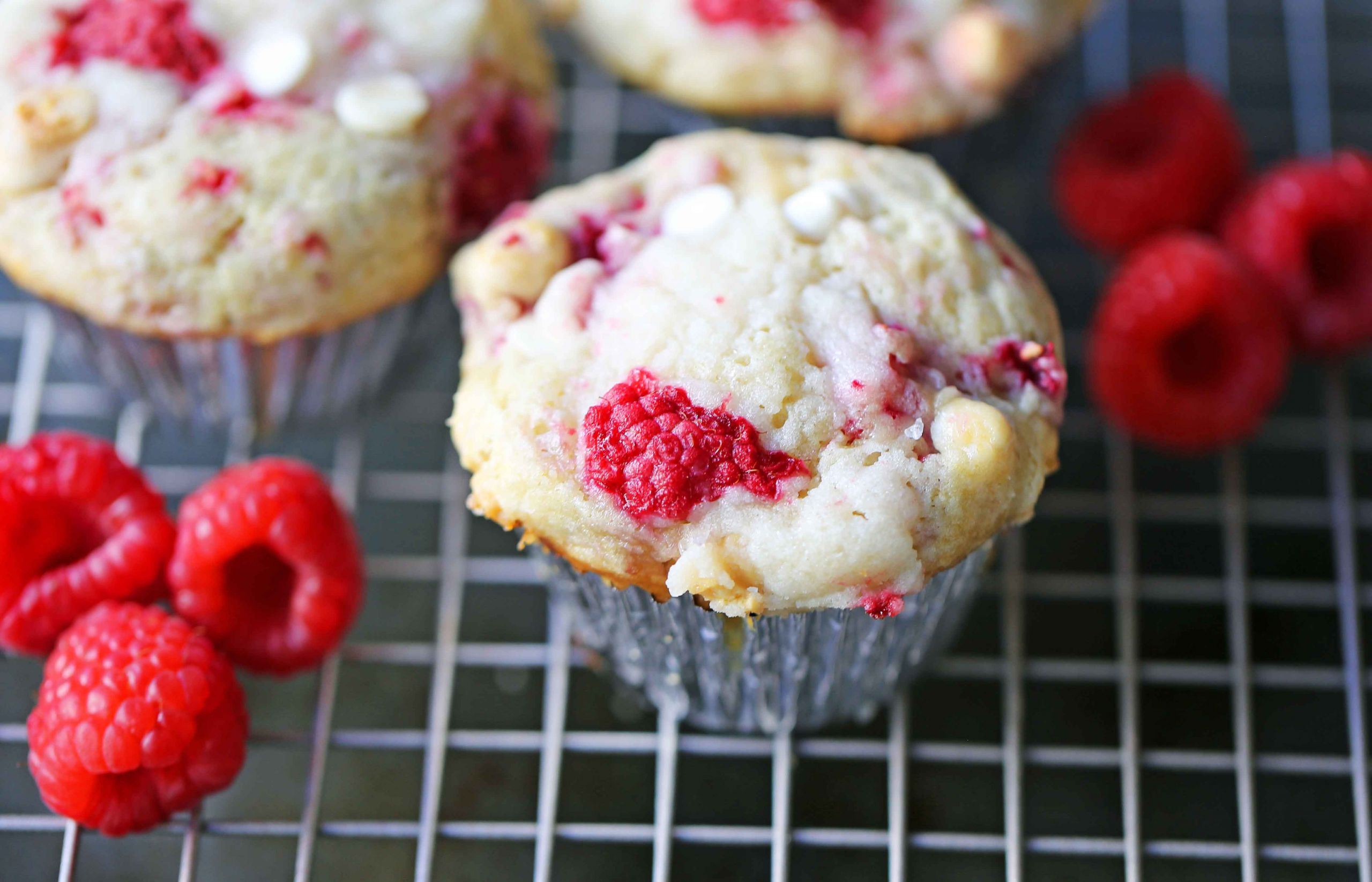 Raspberry White Chocolate Muffins
 Raspberry White Chocolate Muffins – Modern Honey