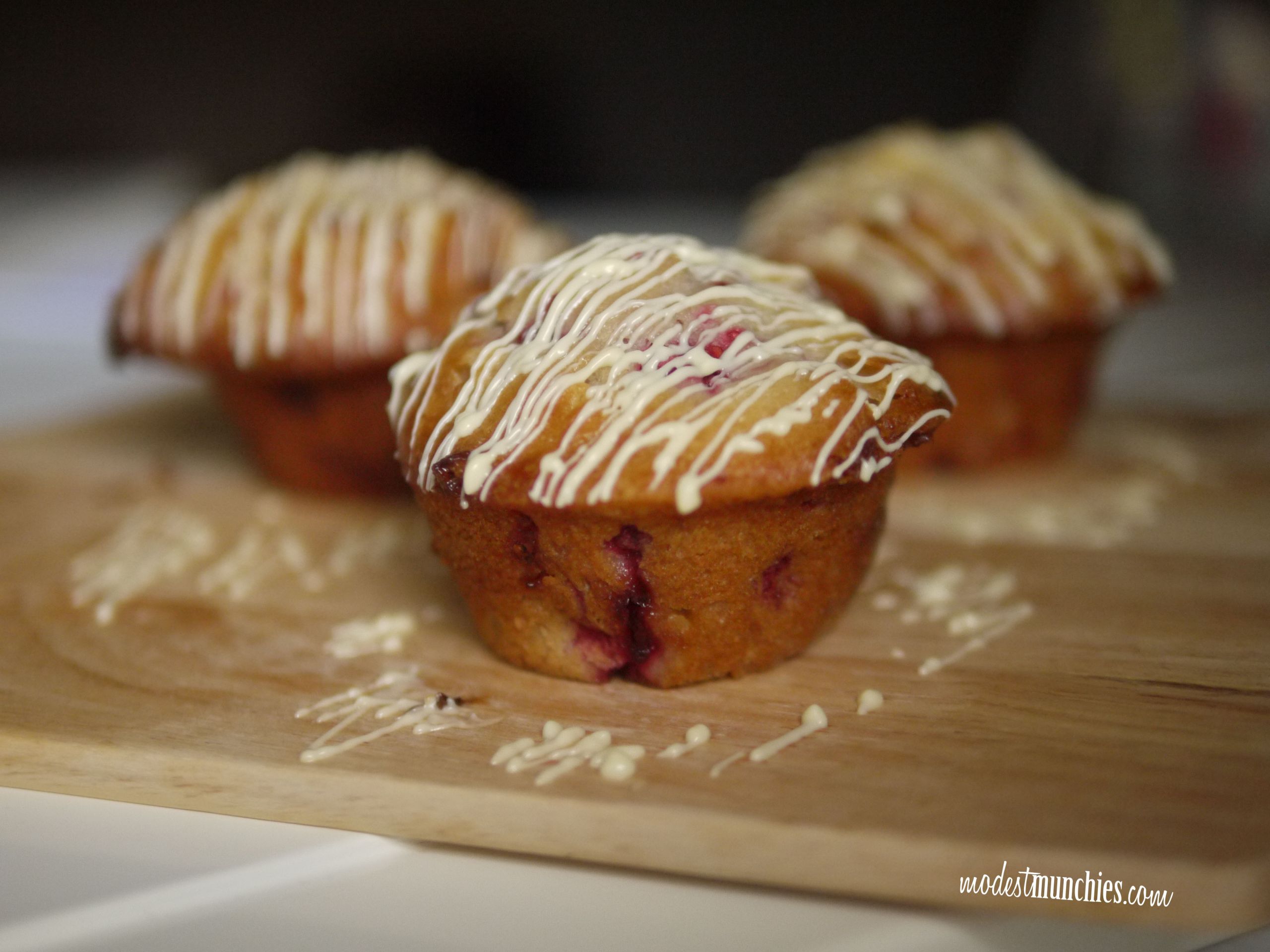 Raspberry White Chocolate Muffins
 Raspberry White Chocolate Muffins Modest Munchies