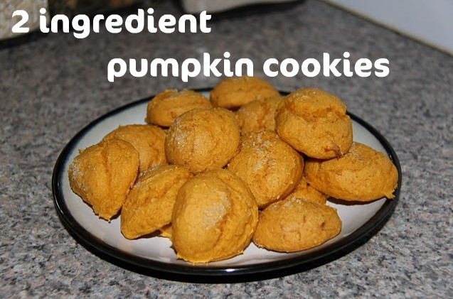 2 Ingredient Pumpkin Cookies
 Pin by Amanda Betten on FOOD