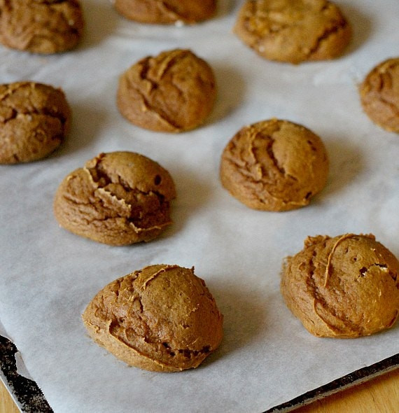 2 Ingredient Pumpkin Cookies
 Two Ingre nt Recipes Spice Cake Mix Can of Pumpkin