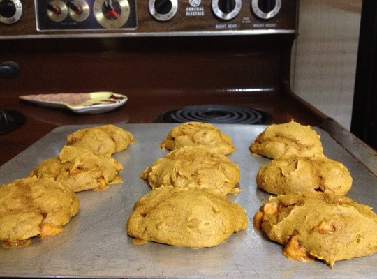 2 Ingredient Pumpkin Cookies
 How to Make 2 Ingre nt Pumpkin Cookies Recipe Snapguide