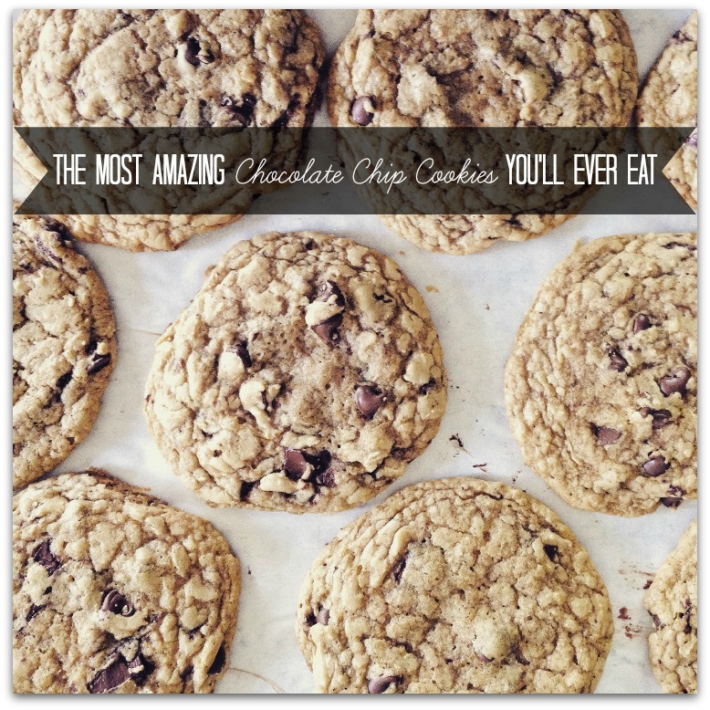 Amazing Chocolate Chip Cookies
 The Most Amazing Chocolate Chip Cookies You ll Ever Eat