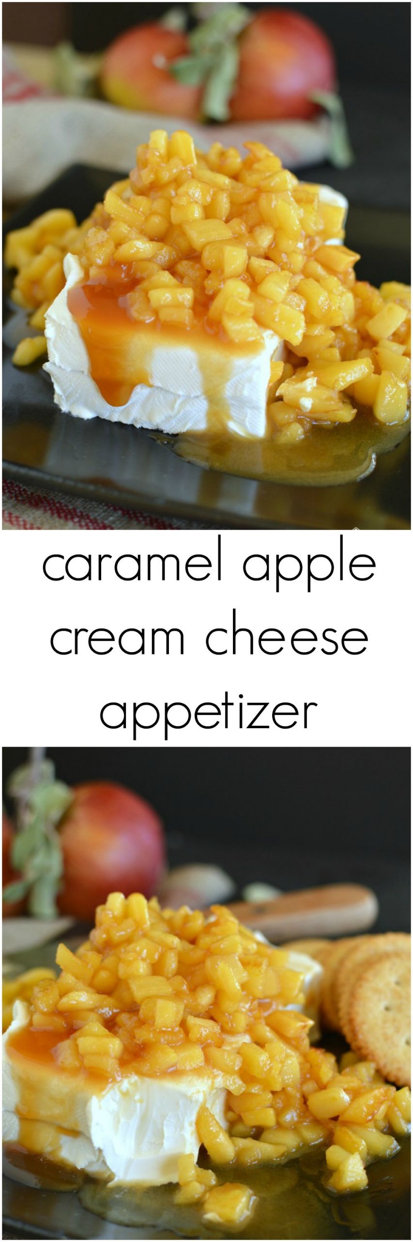 Apple Appetizer Recipes
 Caramel Apple Cream Cheese Appetizer