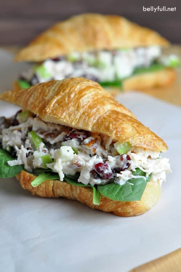 Arby'S Pecan Chicken Salad Sandwich
 The Best Chicken Salad With Cranberries Apples and Pecans