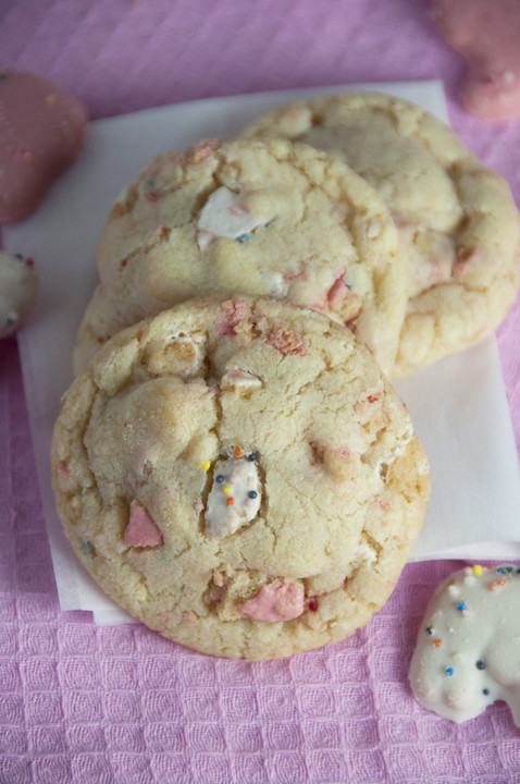 Baby Shower Cookies Recipe
 Frosted Animal Sugar Cookies