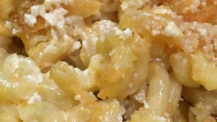 Baked Macaroni And Cheese Evaporated Milk
 The Best Baked Macaroni and Cheese Recipe with Evaporated Milk