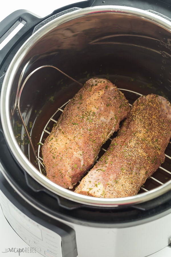 Beef Tenderloin Instant Pot
 pressure cooking frozen pork loin roast
