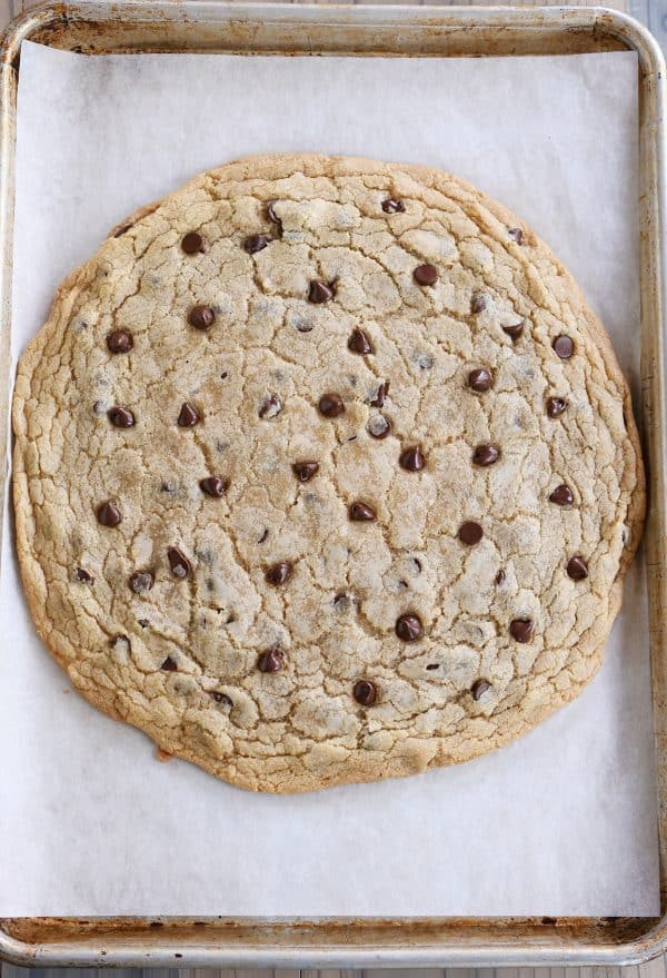 Biggest Chocolate Chip Cookies
 Giant Chocolate Chip Cookie Perfect for a Bake Sale