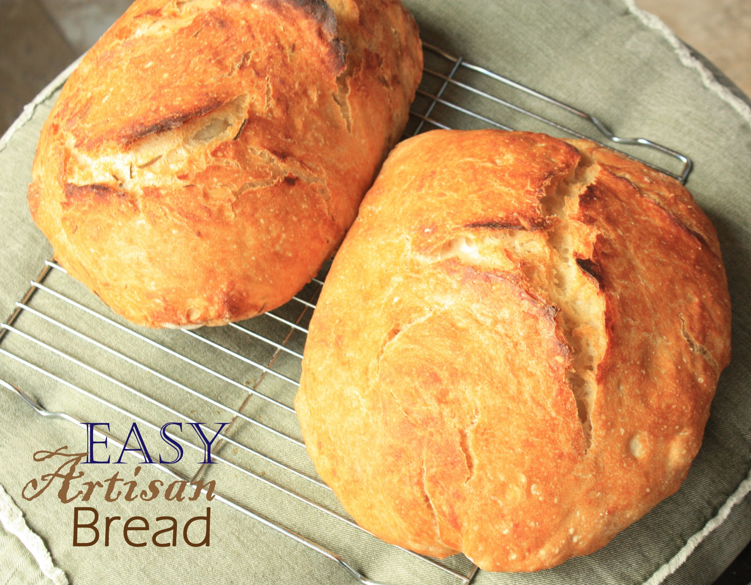 Bread Recipes For Kids
 Easy Artisan Bread Recipe