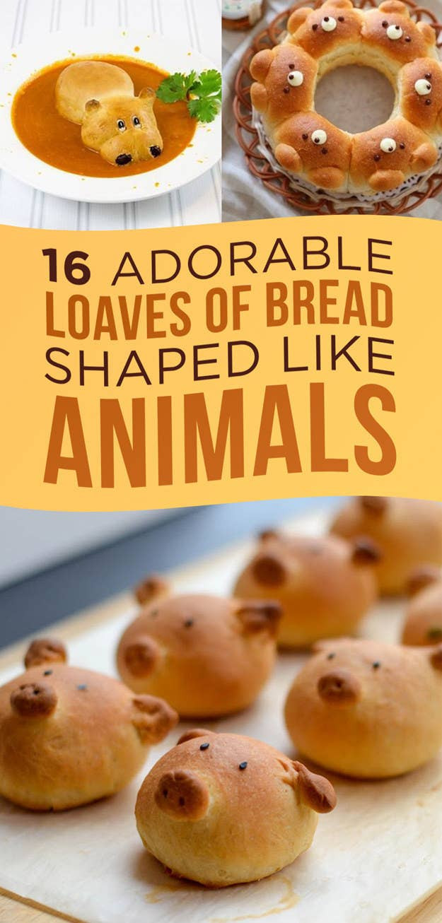 Bread Recipes For Kids
 16 Adorable Animal Shaped Bread Recipes For Kids