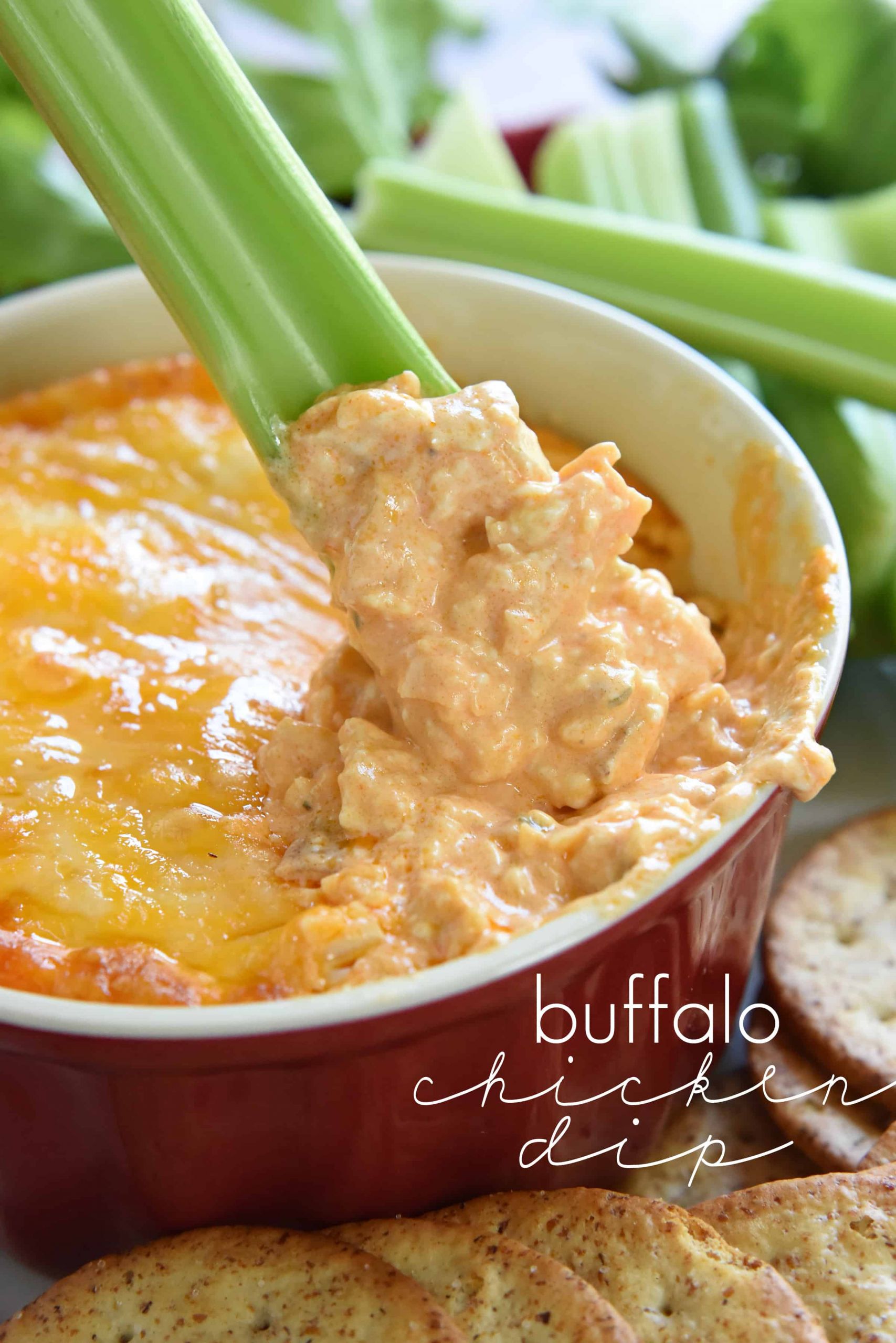 Buffalo Chicken Appetizers
 Buffalo Chicken Dip warm creamy and loaded with cheese