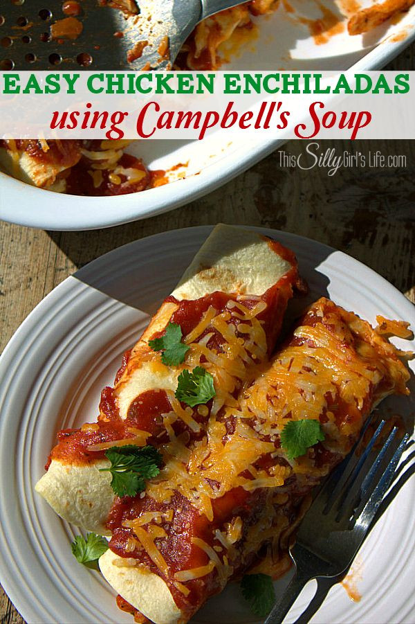 Campbells Soup Chicken Enchilada Recipes
 Easy Chicken Enchiladas Using Campbell’s Soup
