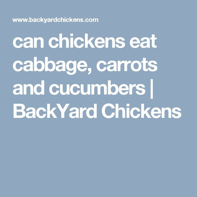 Can Chickens Eat Cabbage
 can chickens eat cabbage carrots and cucumbers