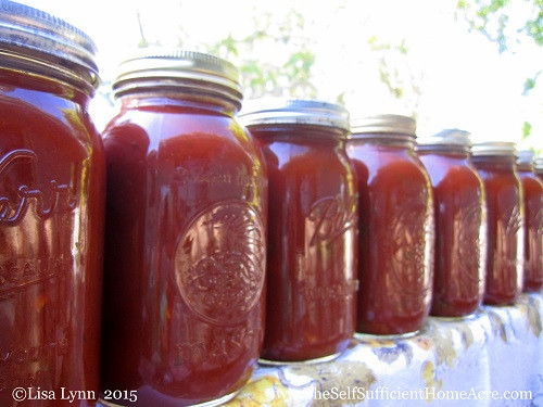 Canning Spaghetti Sauce
 Canning Homemade Spaghetti Sauce The Self Sufficient