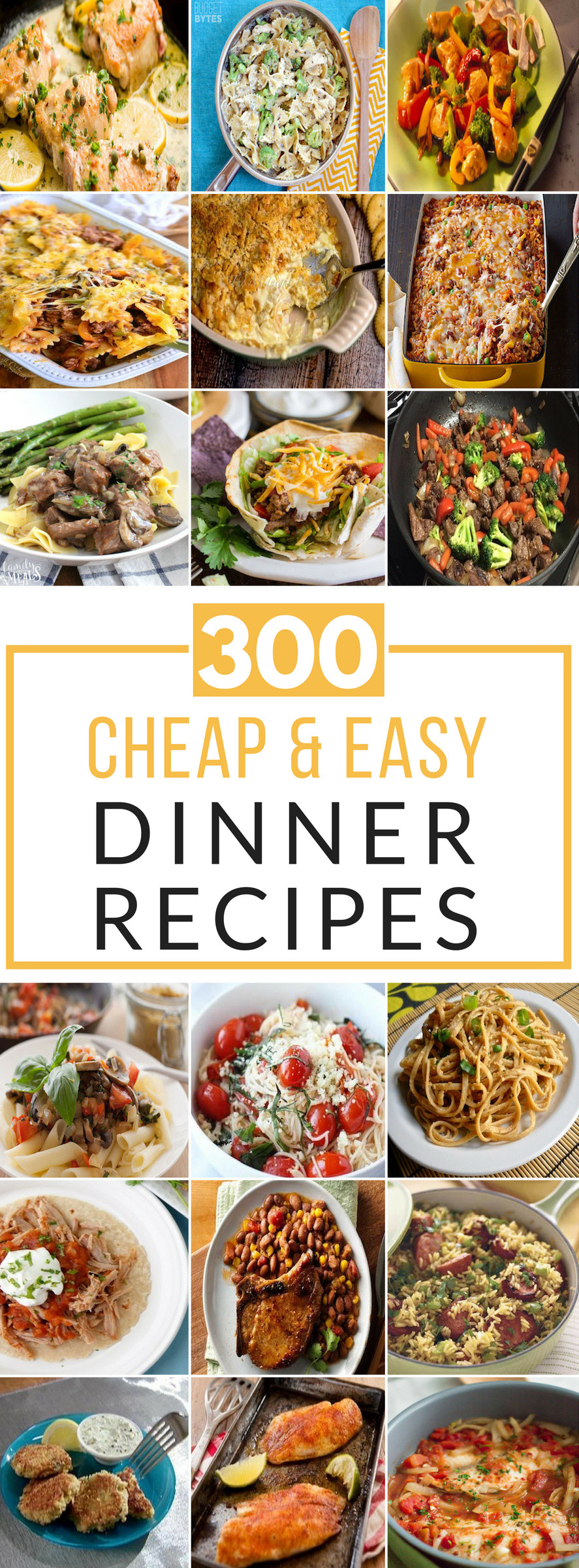 Cheap And Easy Dinner Ideas
 300 Cheap and Easy Dinner Recipes Prudent Penny Pincher