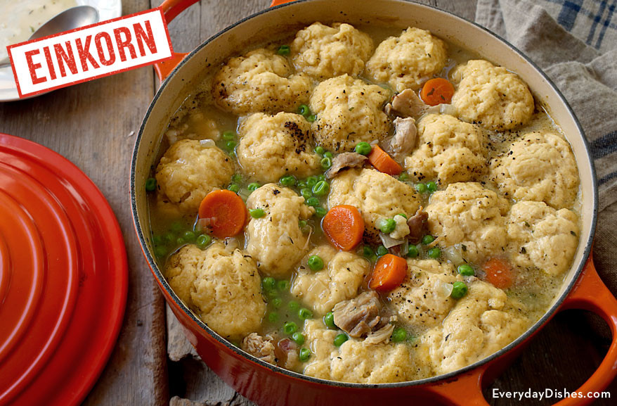 Chicken And Dumplings Using Biscuits
 Chicken And Dumplings With Einkorn Biscuits Recipe Video