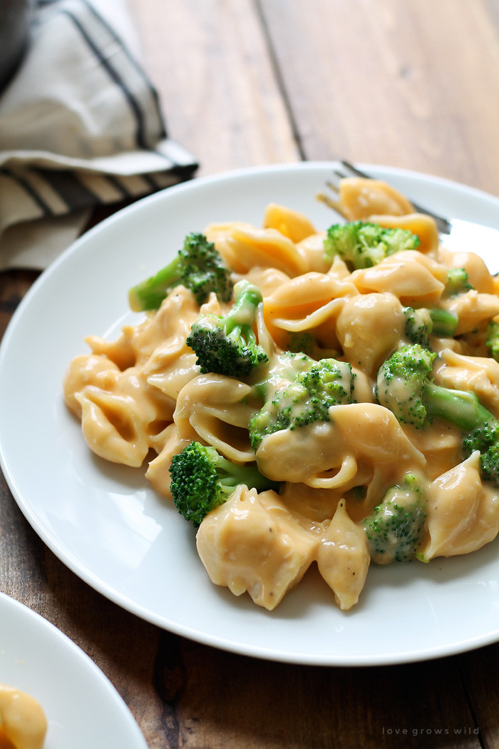 Chicken Broccoli Recipes
 Chicken and Broccoli Shells and Cheese Love Grows Wild