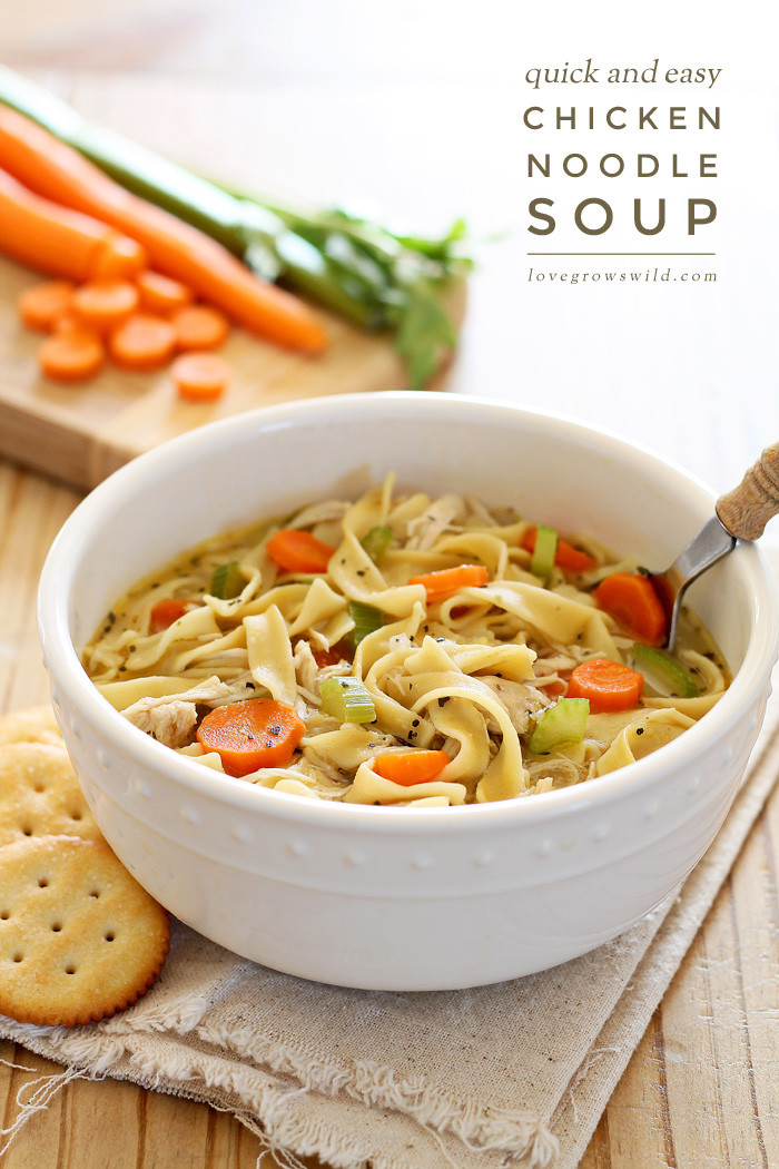 Chicken Noodle Soup Recipe Easy
 Quick and Easy Chicken Noodle Soup Love Grows Wild