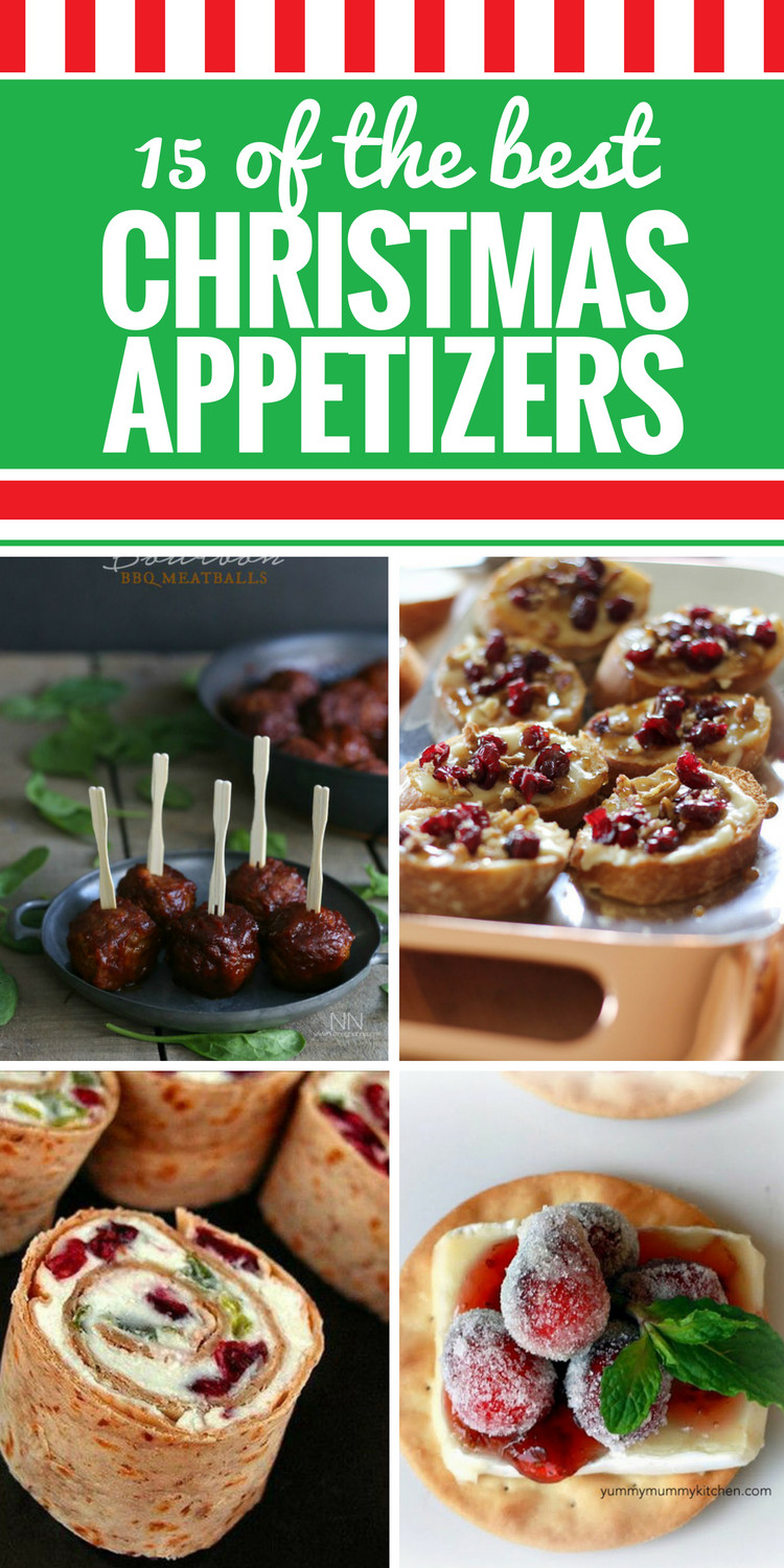 Christmas Appetizers For Kids
 15 Christmas Appetizer Recipes My Life and Kids