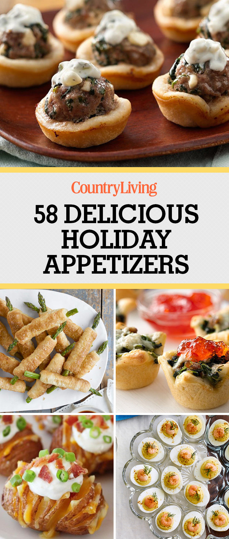 Christmas Appetizers Ideas
 60 Easy Thanksgiving and Christmas Appetizer Recipes