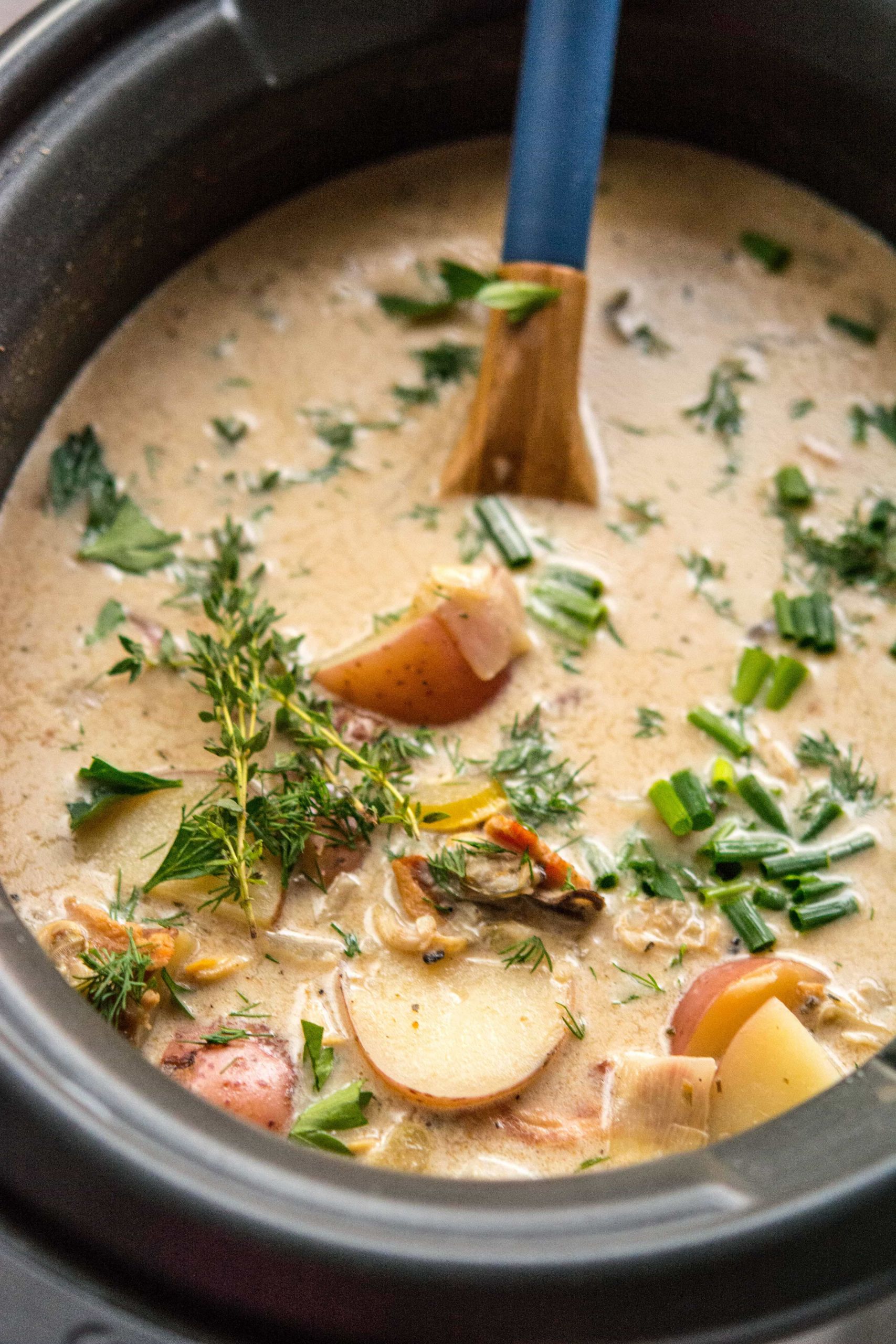 Clam Chowder Recipe Slow Cooker
 Slow Cooker Clam Chowder Slow Cooker Gourmet