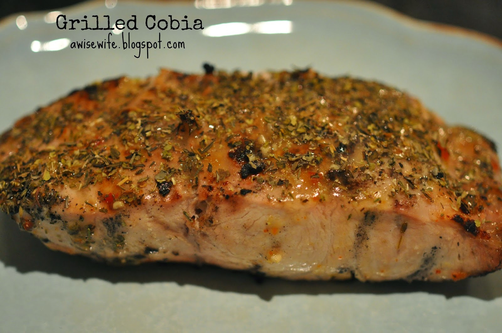 Cobia Fish Recipes
 Life of a Wise Wife Grilled Cobia