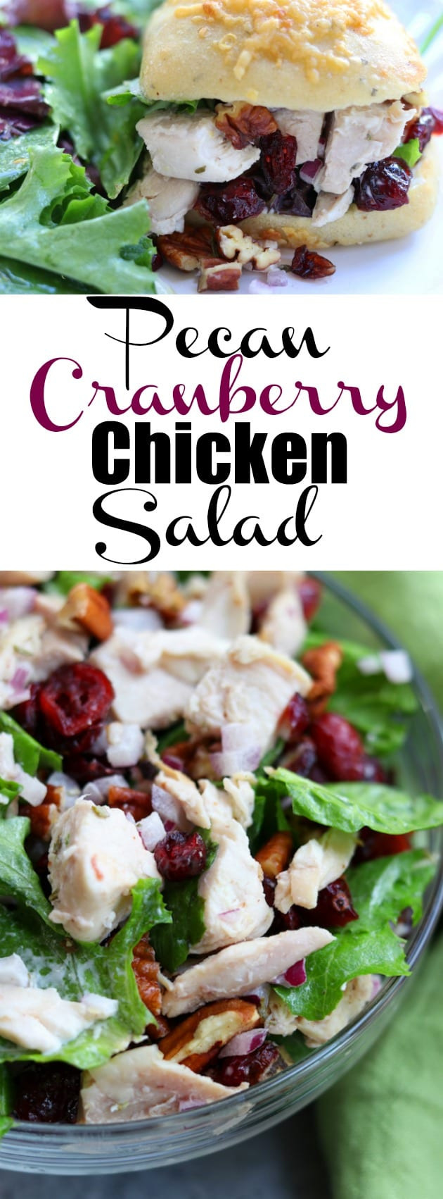 Cranberry Pecan Chicken Salad
 Pecan Cranberry Chicken Salad The Fed Up Foo