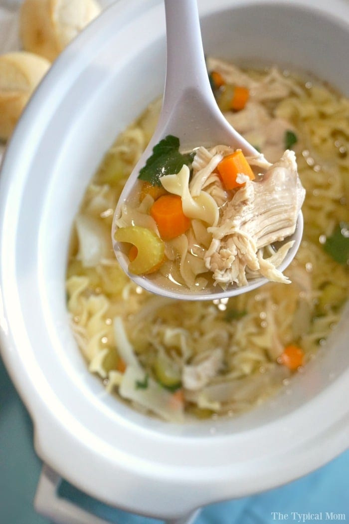 Crock Pot Chicken Soup Recipes
 Chicken soup in the crockpot · The Typical Mom