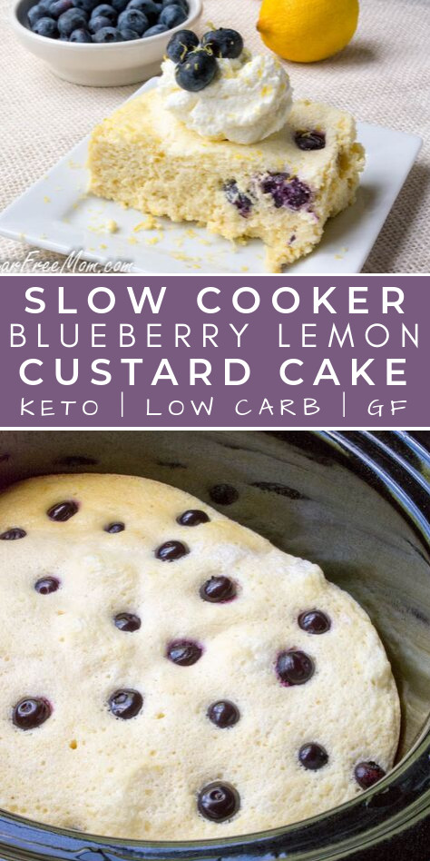 Crock Pot Low Calorie Recipes
 Crock Pot Low Carb Blueberry Lemon Custard Cake