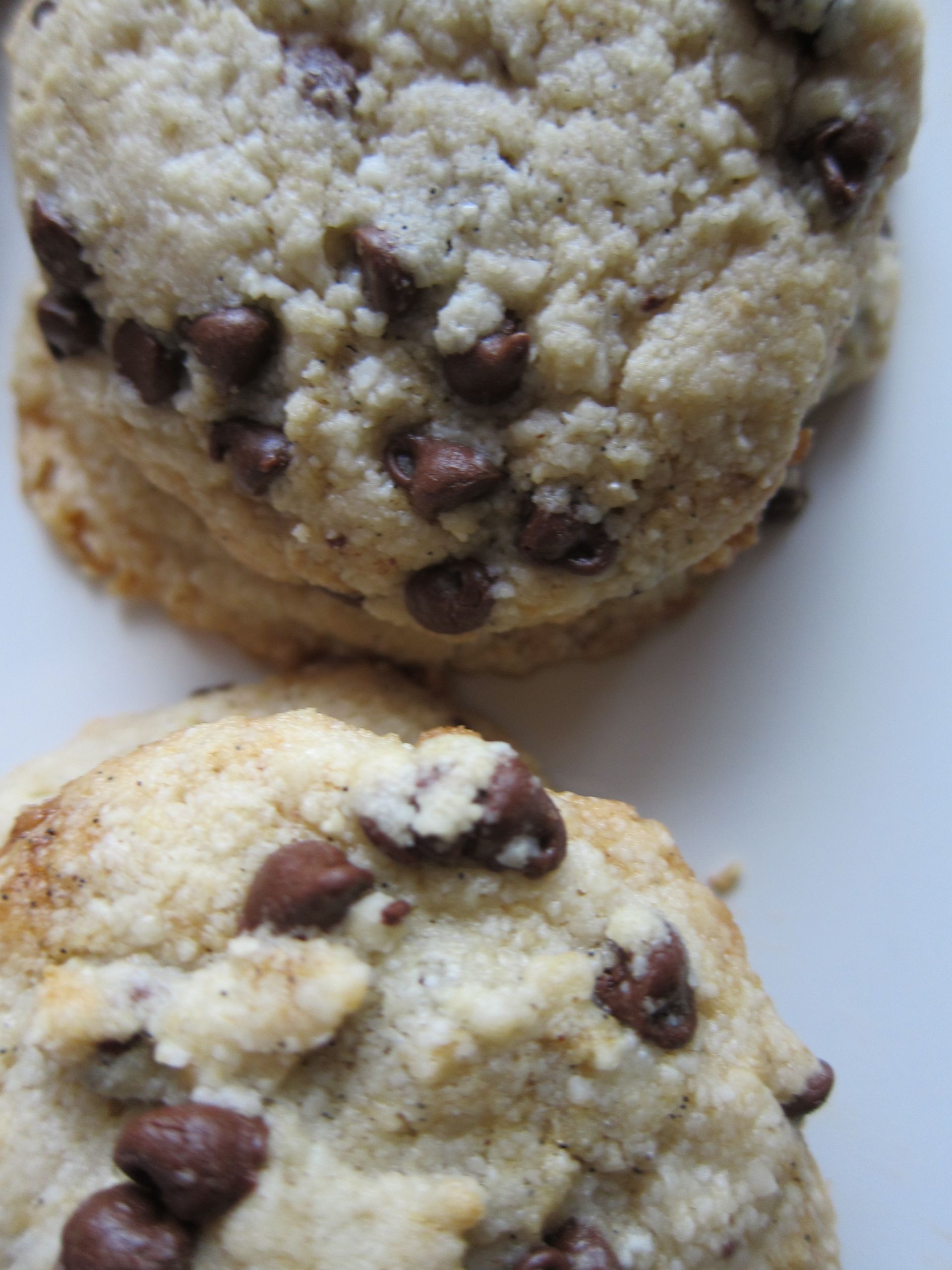 Dairy Free Egg Free Chocolate Chip Cookies
 Chocolate Chip Cookies Gluten free Egg free Refined