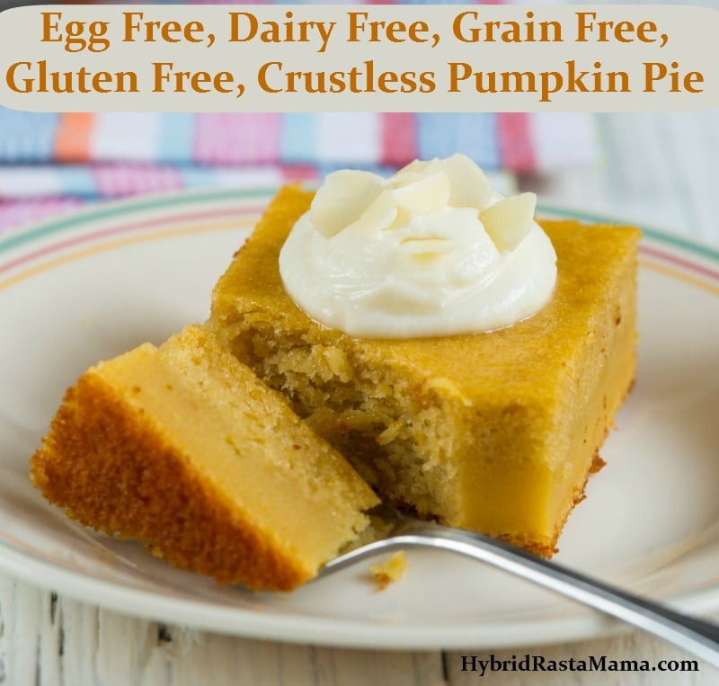 Dairy Free Egg Free Recipes
 Crustless Pumpkin Pie Egg Free Dairy Free Grain Free