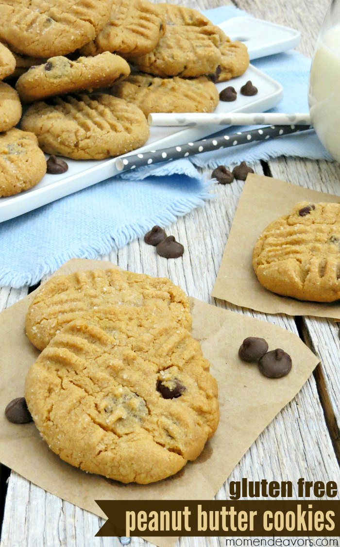 Dairy Free Peanut Butter Cookies
 Flourless Peanut Butter Chocolate Chip Cookies