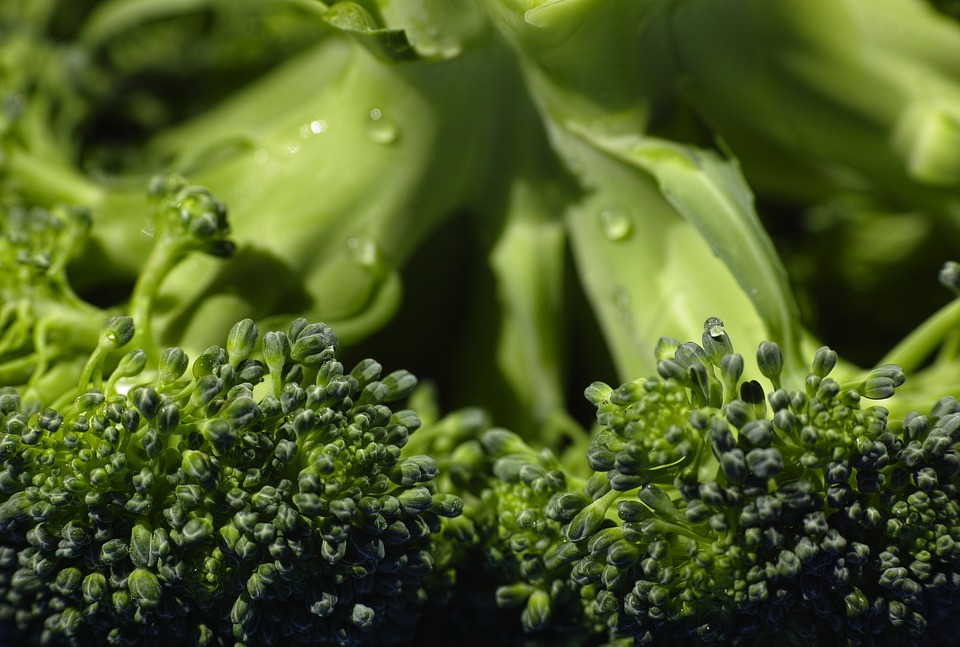 Does Broccoli Have Fiber
 The best 10 foods rich in fiber that will help you to lose