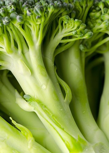 Does Broccoli Have Fiber
 The fiber ponents in broccoli do a better job