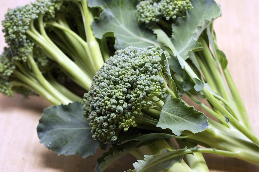 Does Broccoli Have Fiber
 27 Healthy High Fiber Foods for Kids