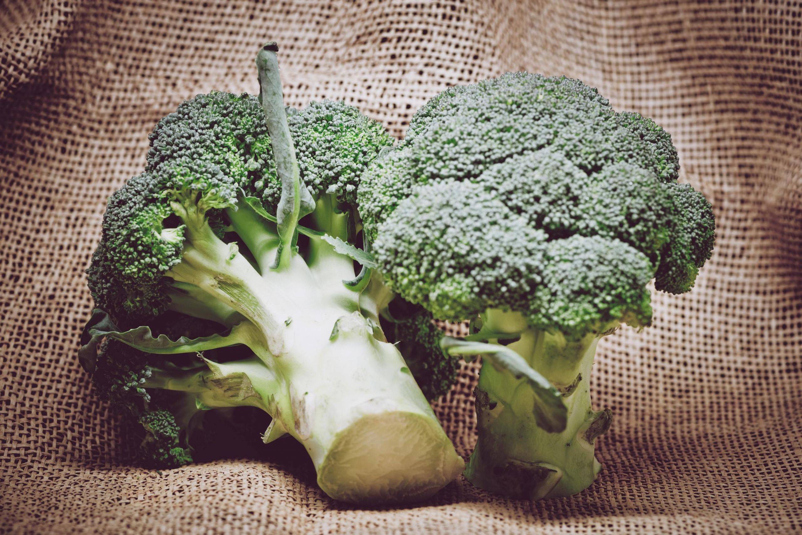 Does Broccoli Have Fiber
 The Importance of Protein and Fiber in your Diet E A G E