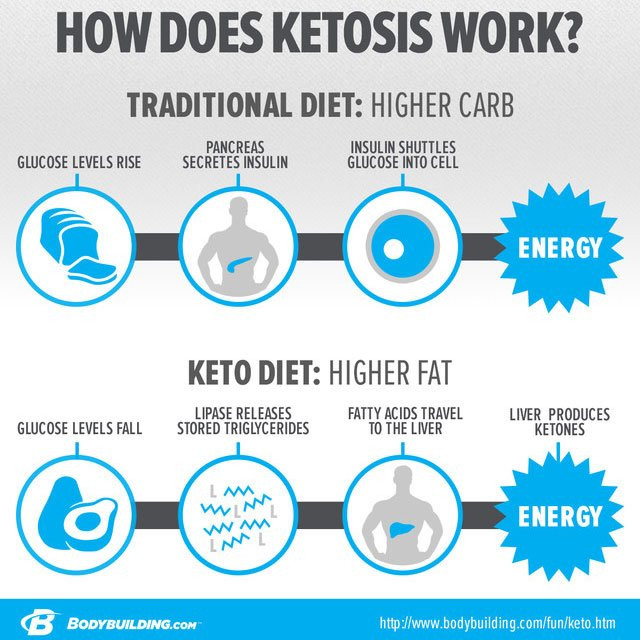 Does The Keto Diet Work
 10 Things You Need To Know About The Ketogenic Diet