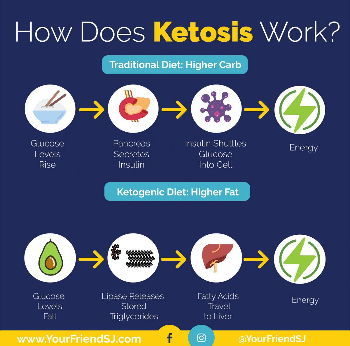 Does The Keto Diet Work
 Keto for Dummies The Ketogenic Diet Explained