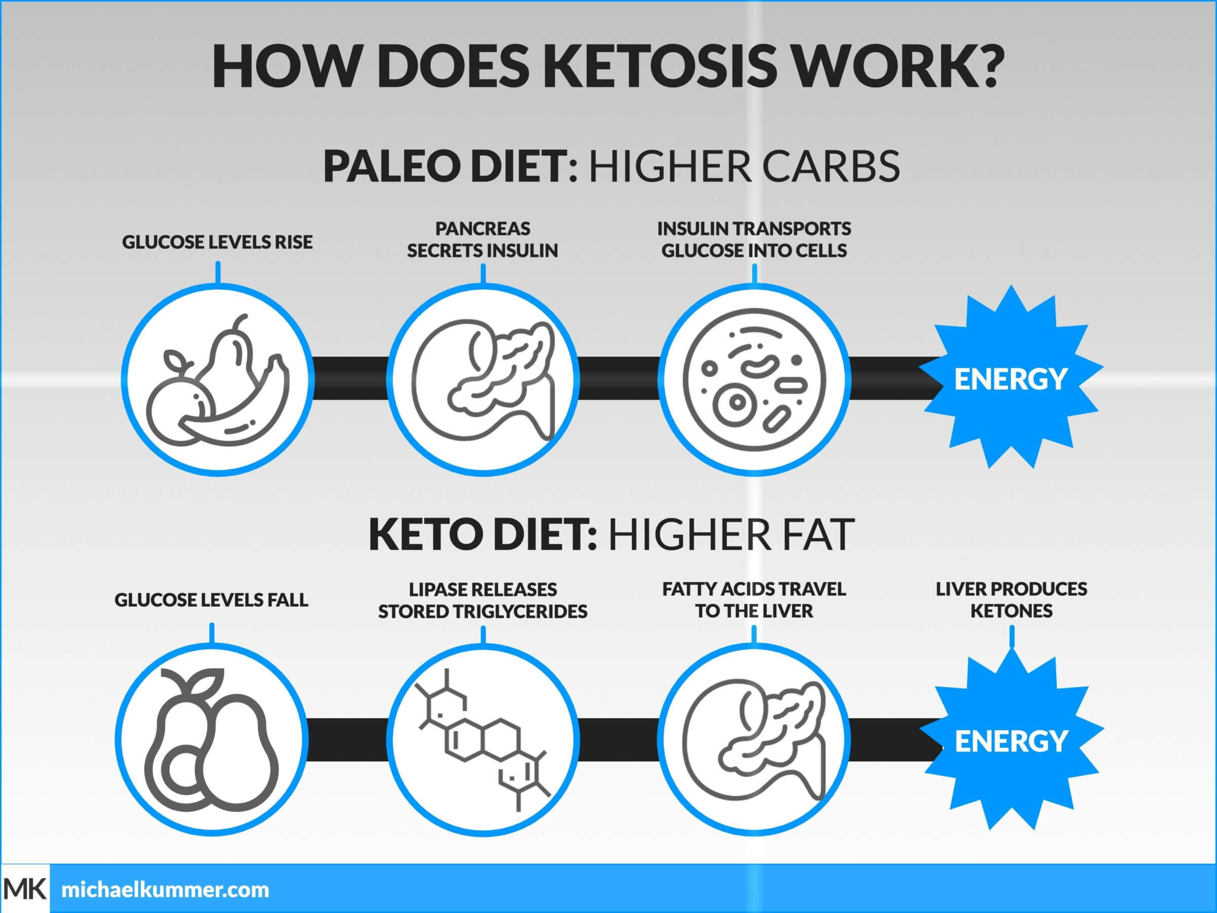 Does The Keto Diet Work
 Paleo vs Keto Diet Which one is the best