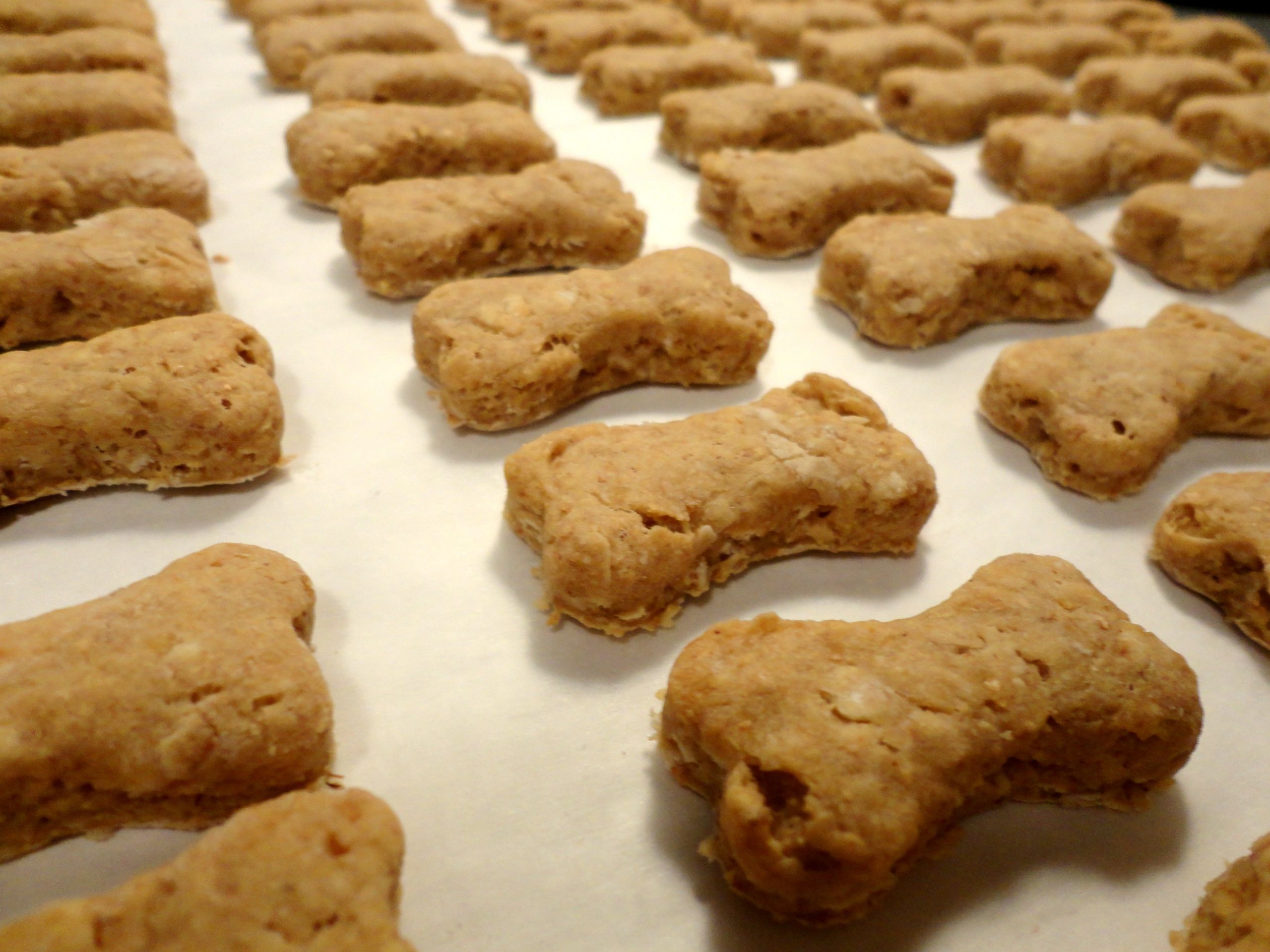 Dog Cookies Recipe
 Oatmeal Peanut Butter Dog Treats