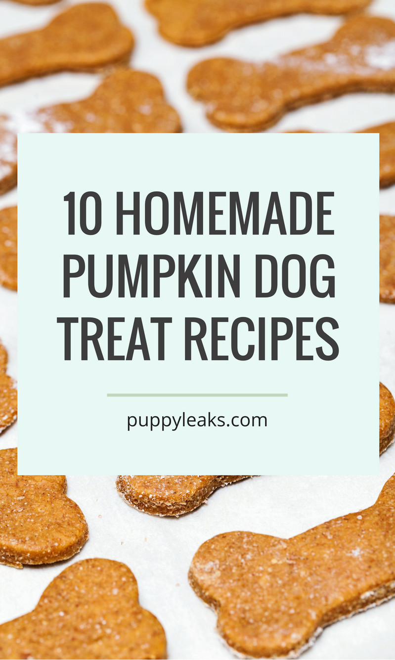 Dog Cookies Recipe
 10 Homemade Dog Treat Recipes Made With Pumpkin Puppy Leaks