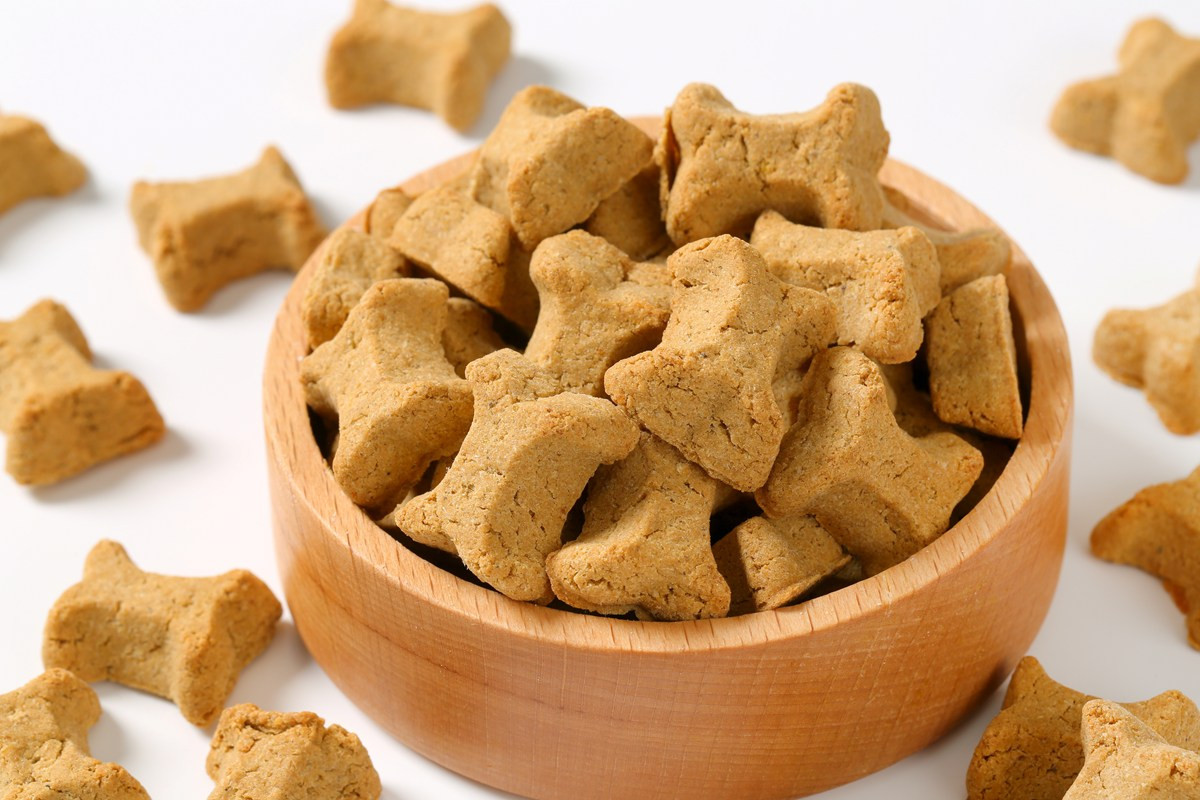 Dog Cookies Recipe
 Bacon Flavored Dog Treats KitchMe