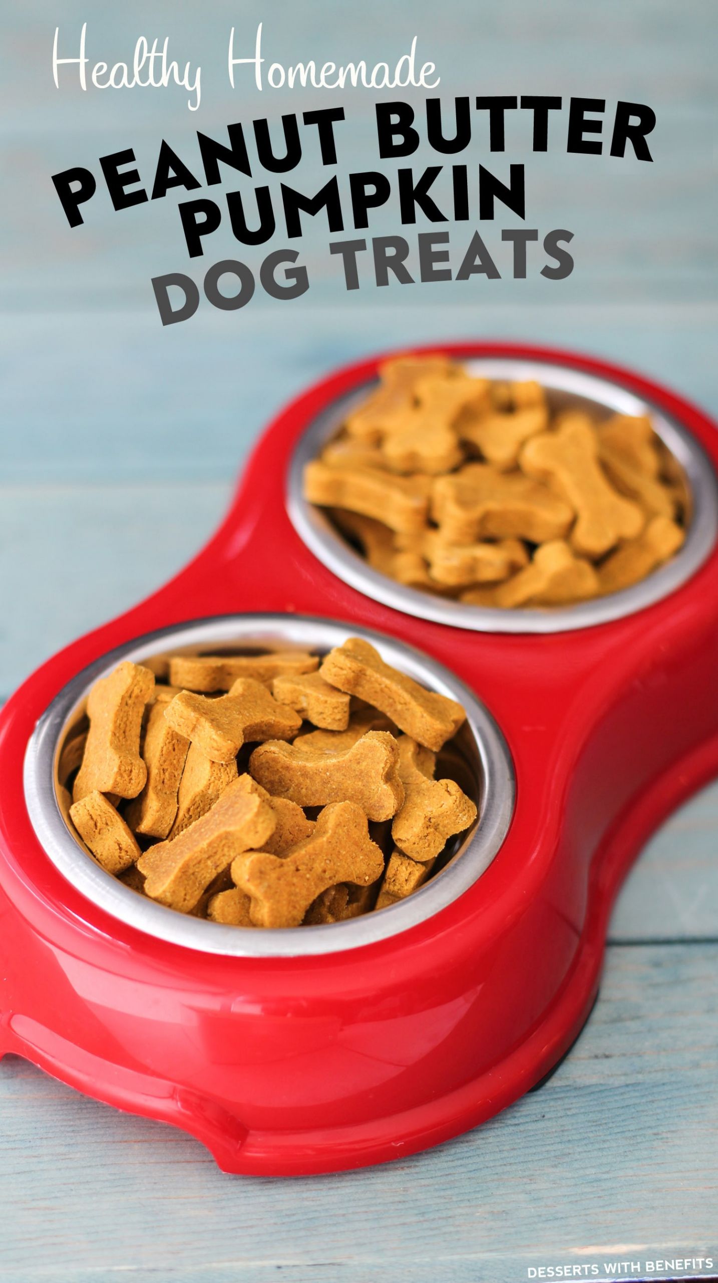 Dog Cookies Recipe
 Healthy Homemade Peanut Butter Pumpkin Dog Treats