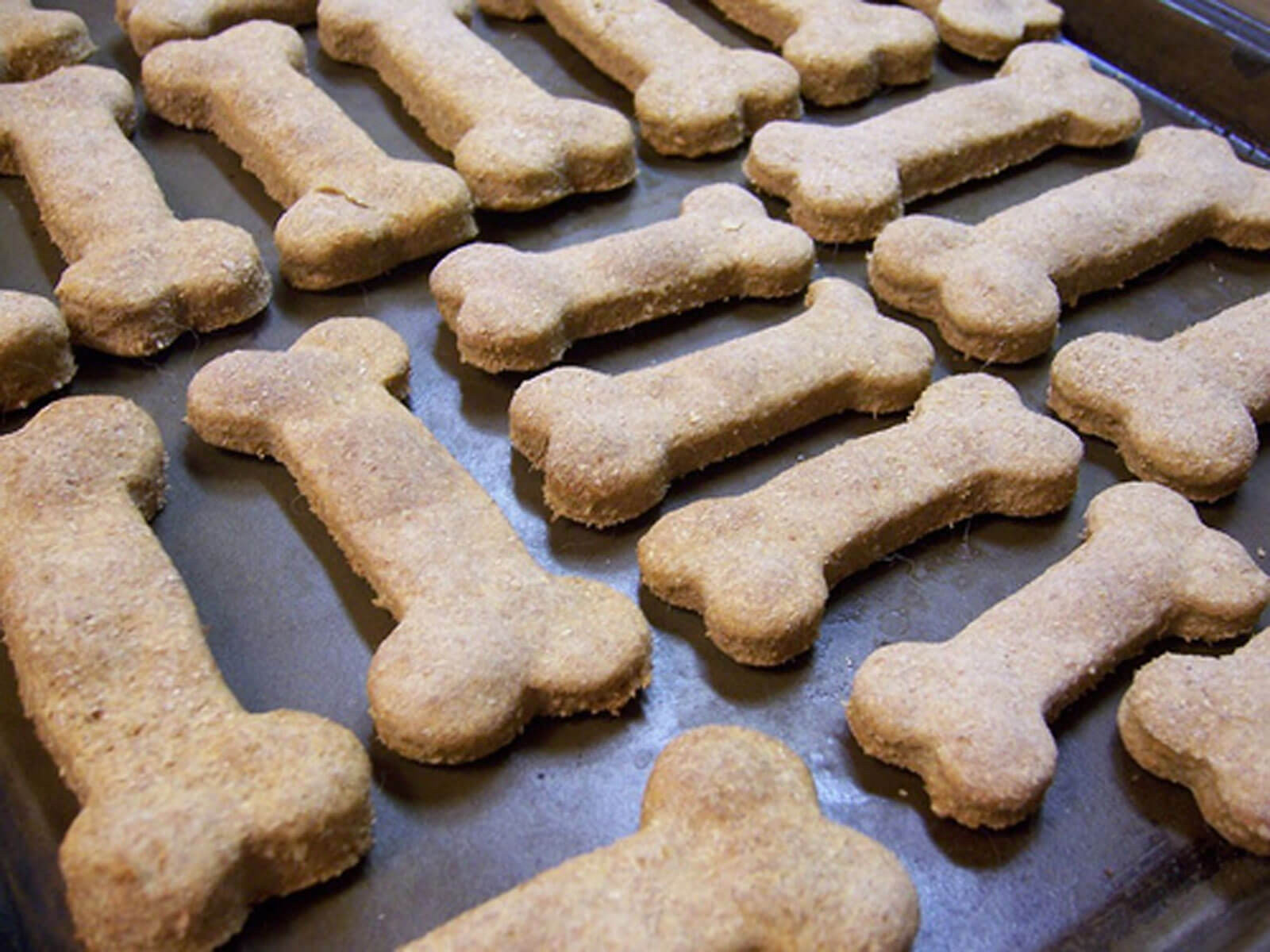 Dog Cookies Recipe
 Pamper Your Pooch With These 5 Homemade Vegan Dog Treats