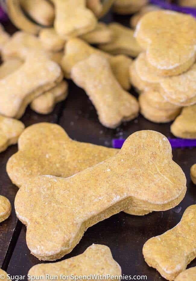 Dog Cookies Recipe
 Pumpkin Dog Treat Recipe Spend With Pennies