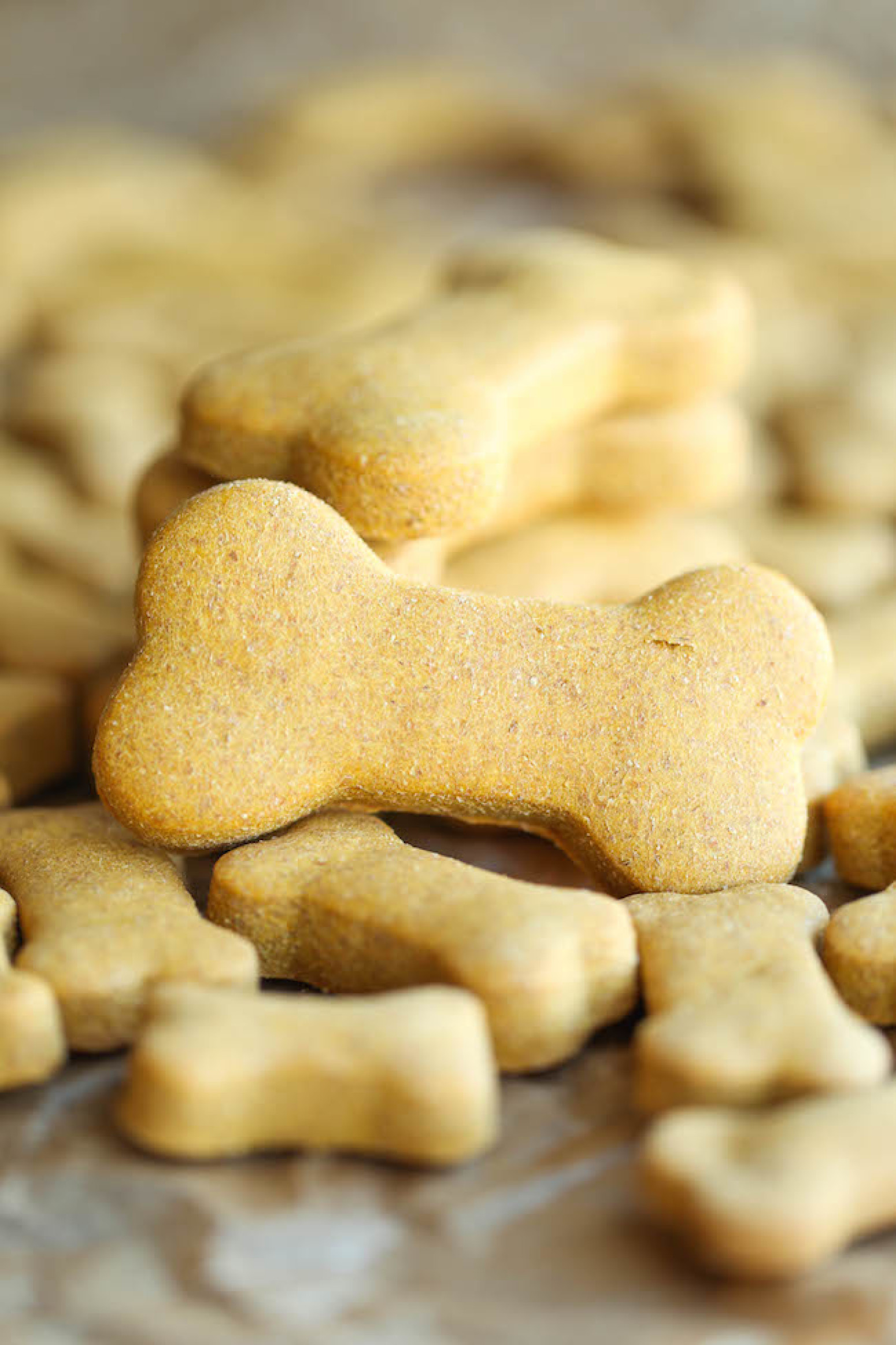 Dog Cookies Recipe
 Homemade Peanut Butter Dog Treats Recipe