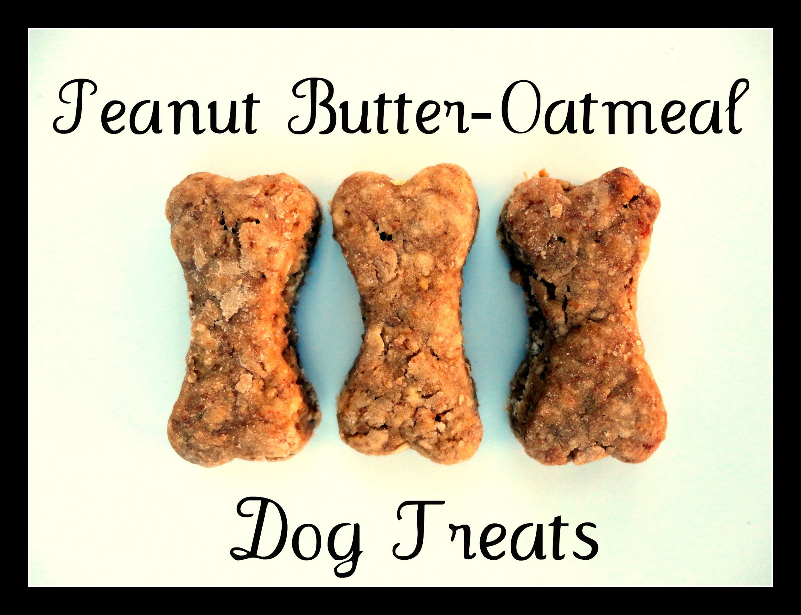 Dog Cookies Recipe
 Oatmeal Peanut Butter Dog Treats