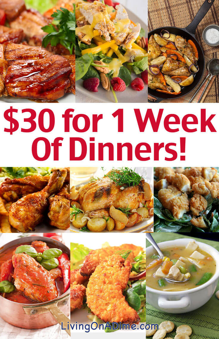 Easy And Cheap Dinner Ideas
 Cheap Family Dinner Ideas $30 for 1 Week of Dinners