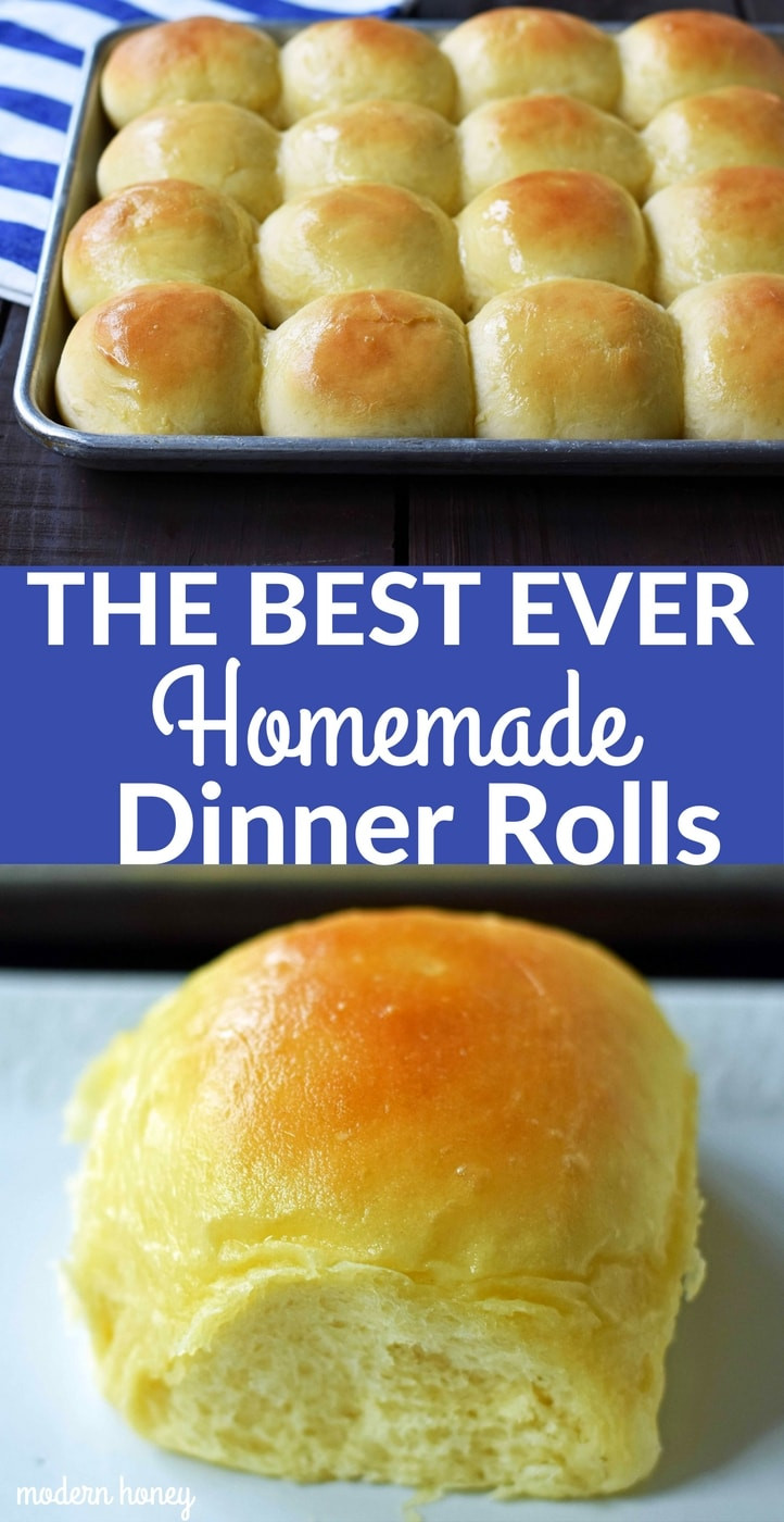 Easy Dinner Roll Recipe
 The Best Homemade Dinner Rolls – Modern Honey