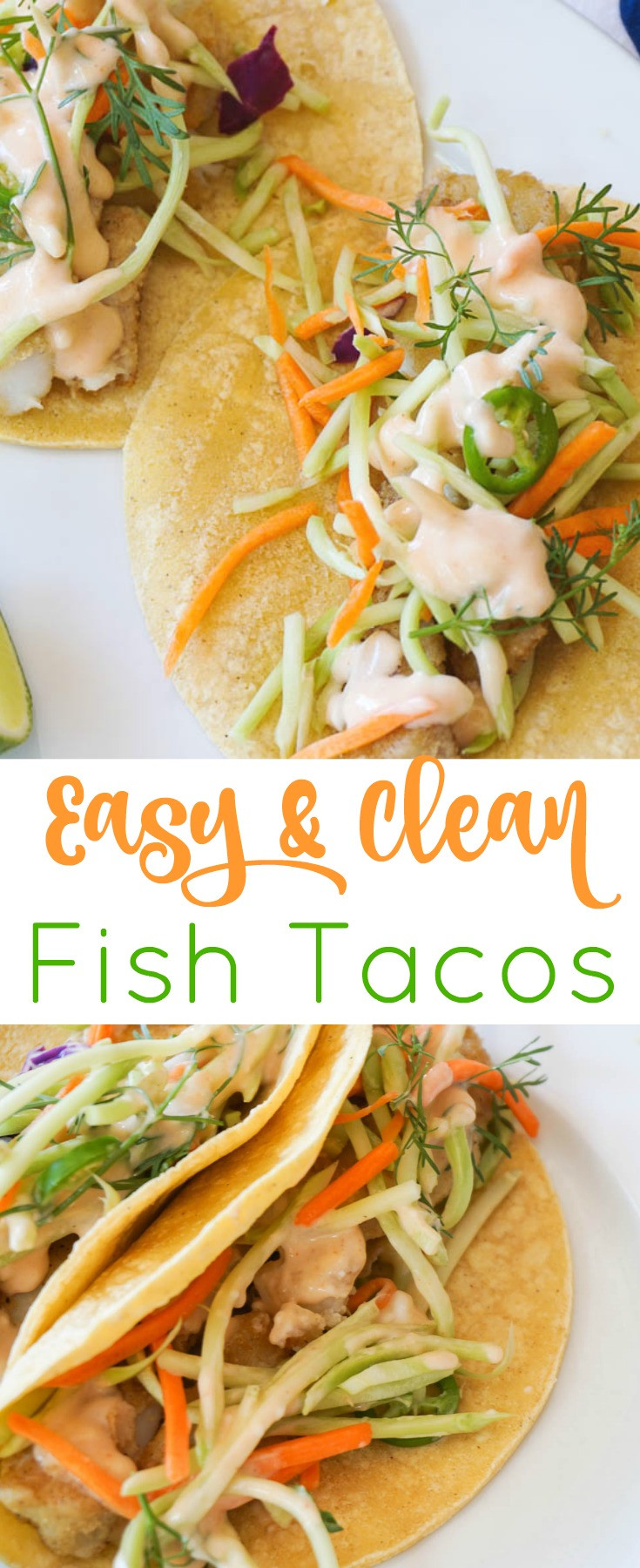 Easy Fish Taco Recipes
 Easy Fish Tacos